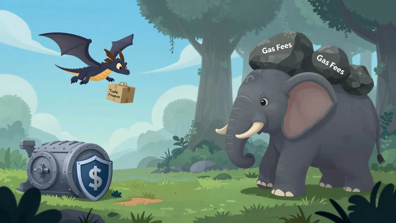 Agile dragon vs slow elephant comparing network speeds